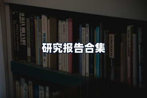 研究报告合集